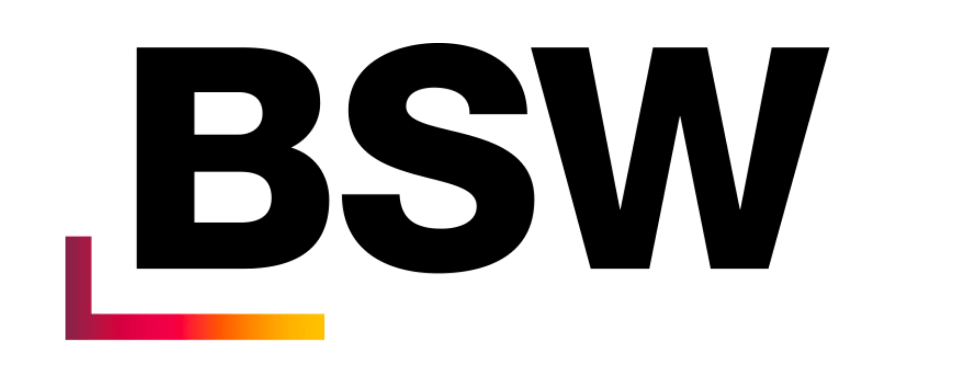 Logo des BSW ab 06.11.2025